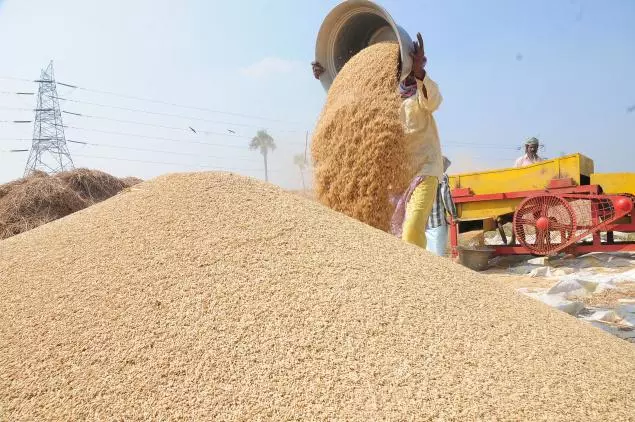 നെല്ല് സംഭരണം വൈകുന്നു; കര്‍ഷകര്‍ ആശങ്കയില്‍