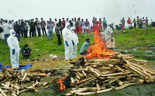 ആലപ്പുഴയിൽ മൂന്ന് സ്ഥലത്ത് കൂടി പക്ഷിപ്പനി സ്ഥിരീകരിച്ചു