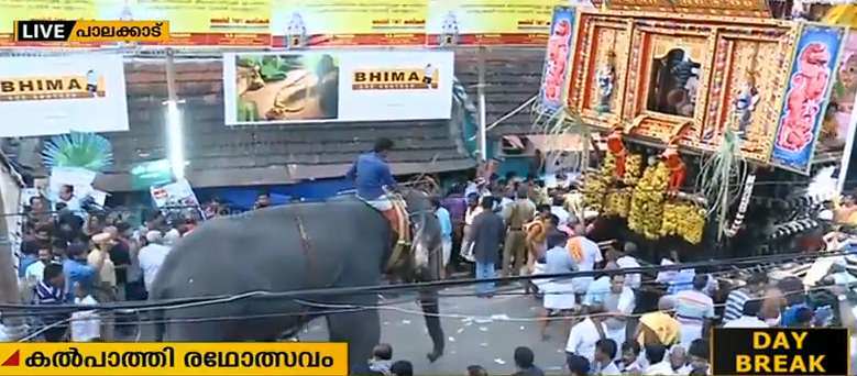 കല്‍പ്പാത്തിയില്‍ രഥം തള്ളാന്‍ ആനയെ ഉപയോഗിച്ച സംഭവത്തില്‍ അന്വേഷണം