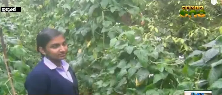 ഇടുക്കിയിലെ മിടുമിടുക്കി ഇടുക്കിയിലെ മിടുമിടുക്കി