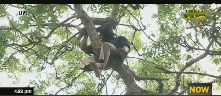 ആത്മഹത്യാ ഭീഷണിയുമായി പിഎസ്‍സി റാങ്ക് ഹോള്‍ഡേഴ്സ്