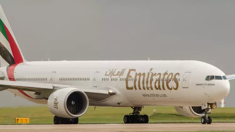 വിമാനത്തിനകത്ത് പാമ്പ്, യാത്ര റദ്ദാക്കി വിമാനത്തിനകത്ത് പാമ്പ്, യാത്ര റദ്ദാക്കി