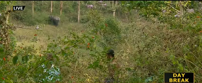 പുനരധിവാസത്തിന് പണം നല്‍കിയില്ല; ആദിവാസികള്‍ കൊടുംവനത്തിലേക്ക് തിരിച്ചുപോയി