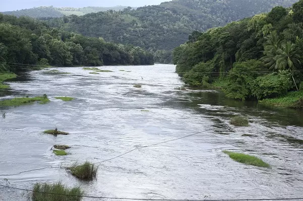 പമ്പ വരള്ച്ചയുടെ പിടിയില് പമ്പ വരള്ച്ചയുടെ പിടിയില്