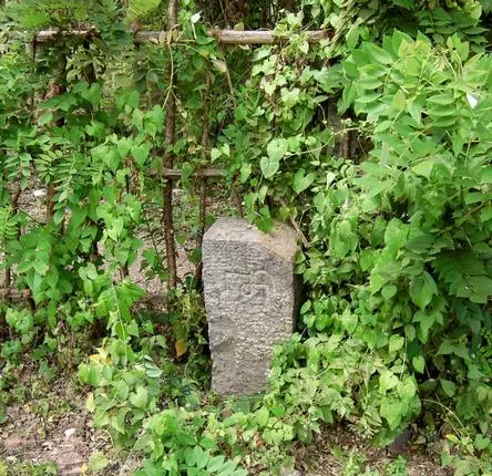 സംസ്ഥാനത്ത് റീസർവേ പുനരാരംഭിക്കും സംസ്ഥാനത്ത് റീസർവേ പുനരാരംഭിക്കും