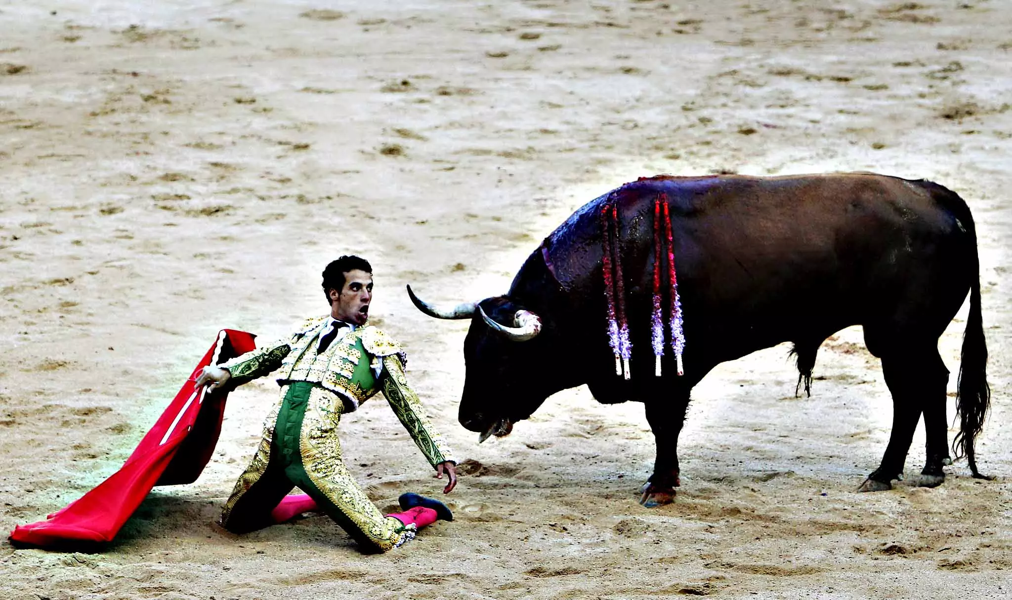 കാളപ്പോരിനെതിരെ കൊളംബിയയില്‍ പ്രതിഷേധം ശക്തം