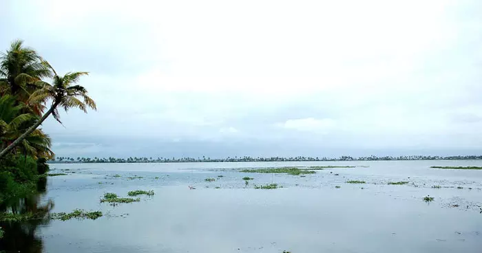 മെത്രാന് കായലില് കൃഷിയിറക്കും മെത്രാന് കായലില് കൃഷിയിറക്കും