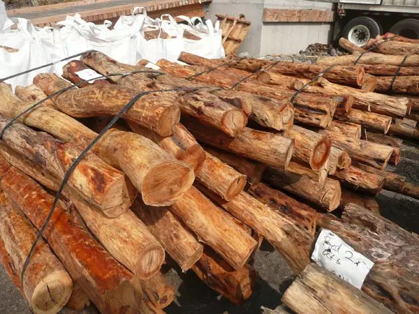 85 കിലോ ചന്ദനമുട്ടികളുമായി ഒരാള്‍ പിടിയില്‍