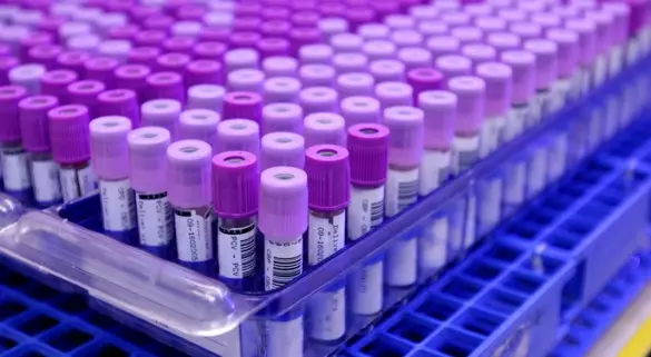 ഡിഎന്‍എ ഡാറ്റാ ബാങ്കിനെതിരെ യുഎന്‍