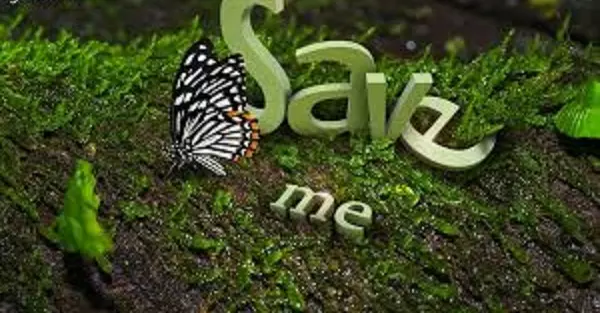 പ്രകൃതിയെ സംരക്ഷിക്കണമെന്ന് ഓര്മിപ്പിച്ച് വീണ്ടുമൊരു ദിനം പ്രകൃതിയെ സംരക്ഷിക്കണമെന്ന് ഓര്മിപ്പിച്ച് വീണ്ടുമൊരു ദിനം