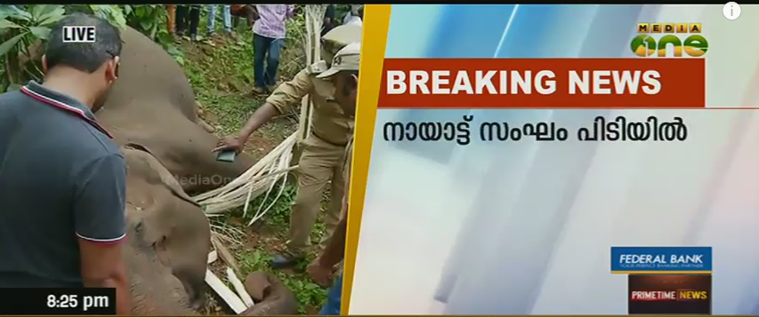 വയനാട്ടില്‍ വേട്ടസംഘം പിടിയില്‍