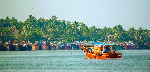 സംസ്ഥാനത്ത് നിയമം ലംഘിച്ചുള്ള മത്സ്യബന്ധനം വ്യാപകം