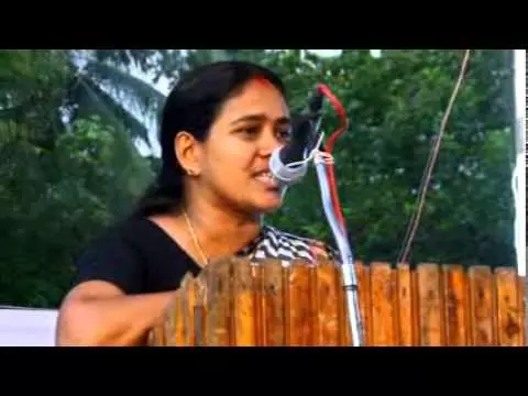 തടയാന്‍ ആര്‍എസ്എസ് തീരുമാനമെടുത്താല്‍ മുഖ്യമന്ത്രി കേരളത്തിലൂടെ യാത്ര ചെയ്യില്ലെന്ന് ശോഭ സുരേന്ദ്രന്‍