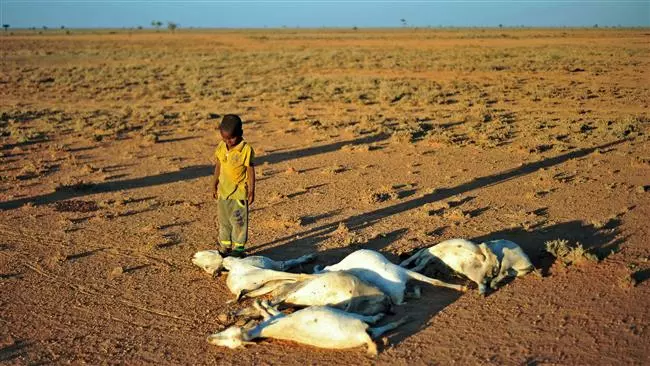 സൊമാലിയയില്‍ 26 പേര്‍ പട്ടിണികിടന്ന് മരിച്ചു