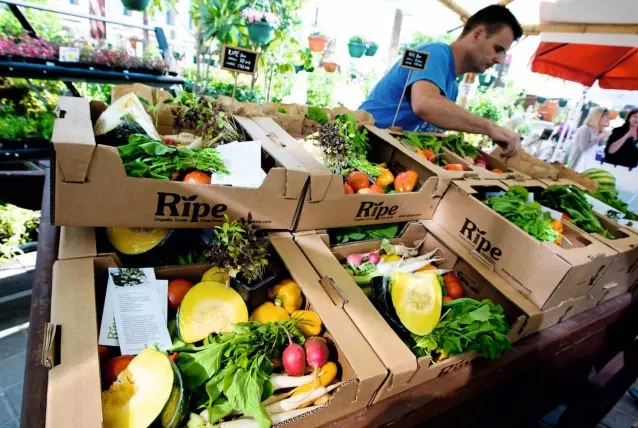 യുഎഇയിലെ ജൈവ കൃഷി ഉല്‍പന്നങ്ങള്‍ ലുലു ഹൈപ്പര്‍മാര്‍ക്കറ്റുകളിലൂടെ വിറ്റഴിക്കുന്ന പദ്ധതിക്ക് തുടക്കം 