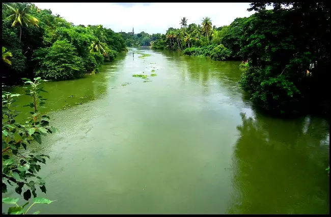 മീനച്ചിലാറിന്റെ തീരത്തെ പുറമ്പോക്ക് ഭൂമി കൈയേറിയവര്‍ക്കെതിരെ നടപടിയില്ല