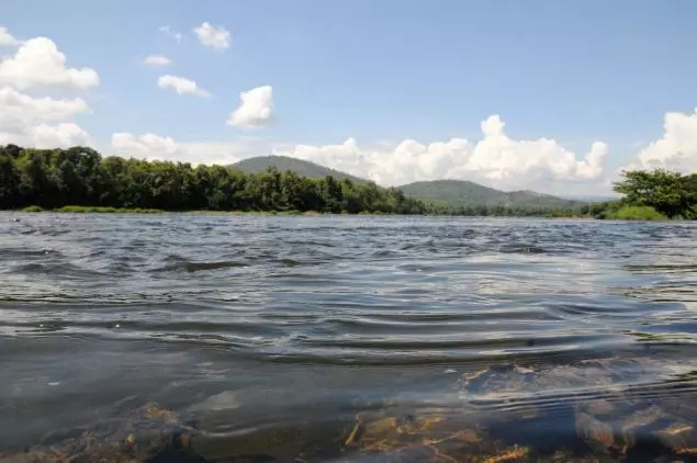 പെരിയാര് സംരക്ഷണത്തിനായി വേറിട്ടൊരു സമരം പെരിയാര് സംരക്ഷണത്തിനായി വേറിട്ടൊരു സമരം