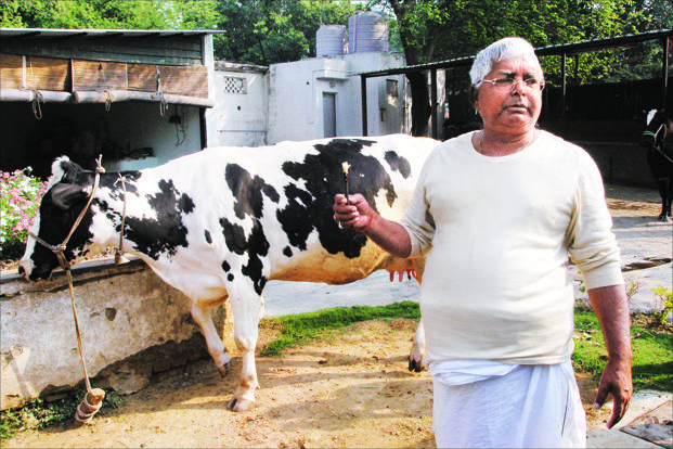 ലാലുവിന്‍റെ ആഹ്വാനം അണികള്‍ അനുസരിച്ചു; ബിജെപി നേതാവിന്‍റെ വീടിന് മുന്‍പില്‍ പശുവിനെ കെട്ടിയതിന് കേസ്