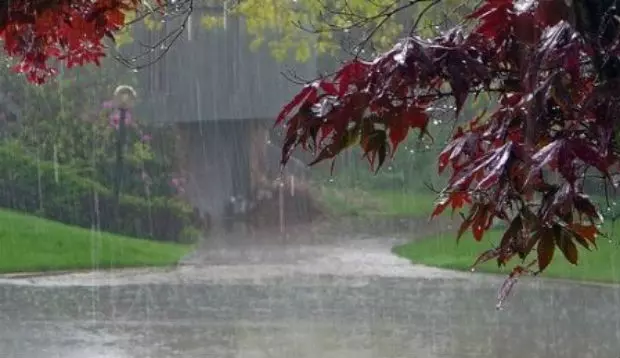 കാലവര്ഷം മെയ് 30 നെത്തുമെന്ന് കേന്ദ്ര കാലാവസ്ഥ നിരീക്ഷണകേന്ദ്രം കാലവര്ഷം മെയ് 30 നെത്തുമെന്ന് കേന്ദ്ര കാലാവസ്ഥ നിരീക്ഷണകേന്ദ്രം