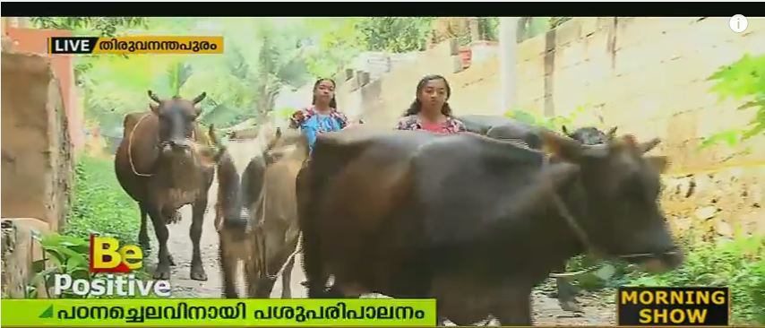 പശുവളര്‍ത്തലും കൃഷിയും; പഠനച്ചെലവിനായി അഞ്ജുവും മഞ്ജുവും കണ്ട വഴി