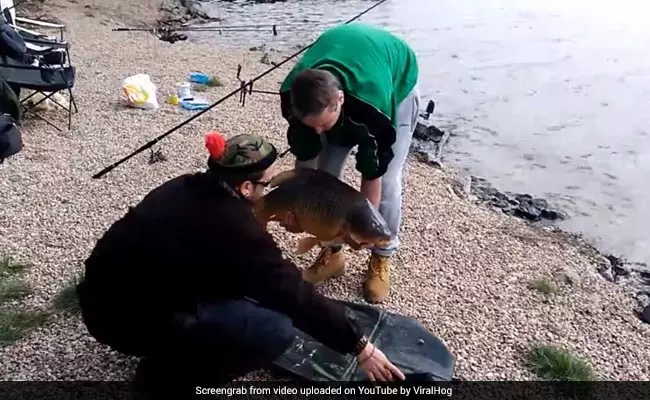 കഷ്ടപ്പെട്ട് പിടിച്ച മീനാ..പക്ഷേ കഴിക്കാന്‍ യോഗമില്ലാതായിപ്പോയി