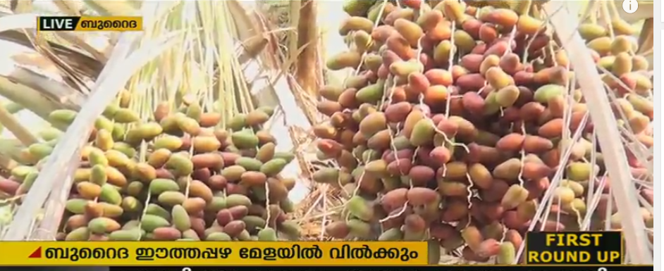 സൌദിയില്‍ ഇനി ഈത്തപ്പഴത്തിന്റെ വിളവെടുപ്പ് കാലം