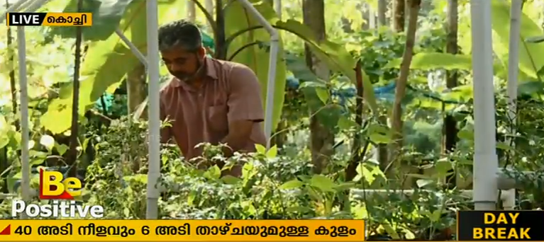 ഇത്തിരി സ്ഥലത്തു നിന്നും ഒത്തിരി വിളവെടുക്കുന്ന അബ്ദുള്‍ മനാഫ്