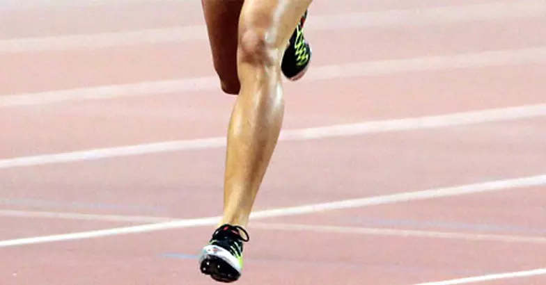 സംസ്ഥാന ജൂനിയര് അത്ലറ്റിക് മീറ്റില് പാലക്കാടിന് കിരീടം സംസ്ഥാന ജൂനിയര് അത്ലറ്റിക് മീറ്റില് പാലക്കാടിന് കിരീടം