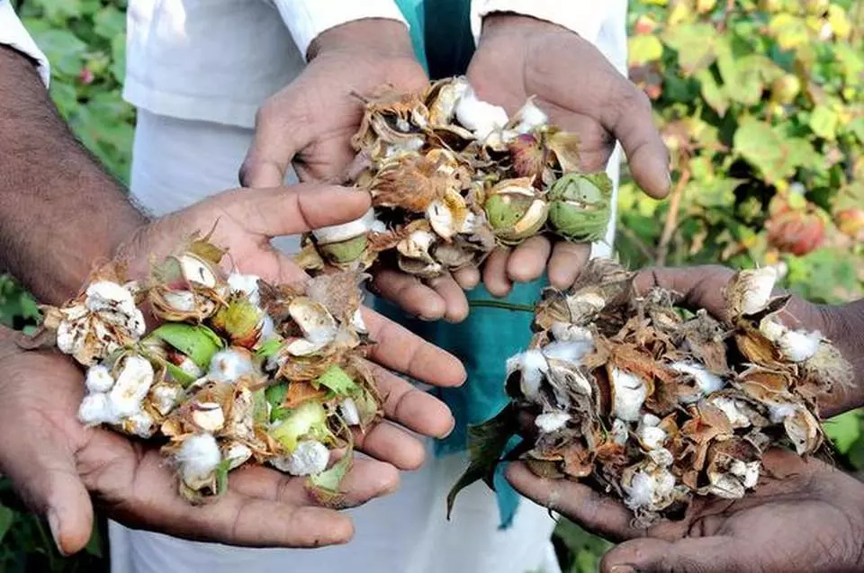 മഹാരാഷ്ട്രയില്‍ കീടനാശിനി ശ്വസിച്ച് 18 കര്‍ഷകര്‍ മരിച്ചു; 467 പേര്‍ ചികിത്സയില്‍