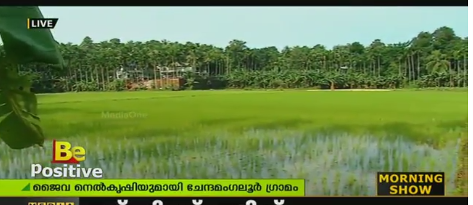 പ്രകൃതിയിലേക്ക് ഒരു മടങ്ങിപ്പോക്ക്, മാതൃകയാക്കണം ചേന്ദമംഗല്ലൂര്‍ ഗ്രാമത്തെ