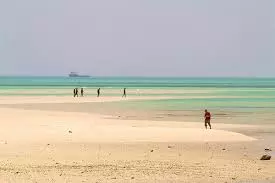 തെരഞ്ഞെടുപ്പ് തോല്വി സംബന്ധിച്ച മേഖലാ റിപ്പോര്ട്ട് ജൂലൈ അഞ്ചിനകം സമര്പ്പിക്കണമെന്ന് കെപിസിസി തെരഞ്ഞെടുപ്പ് തോല്വി സംബന്ധിച്ച മേഖലാ റിപ്പോര്ട്ട് ജൂലൈ അഞ്ചിനകം സമര്പ്പിക്കണമെന്ന് കെപിസിസി