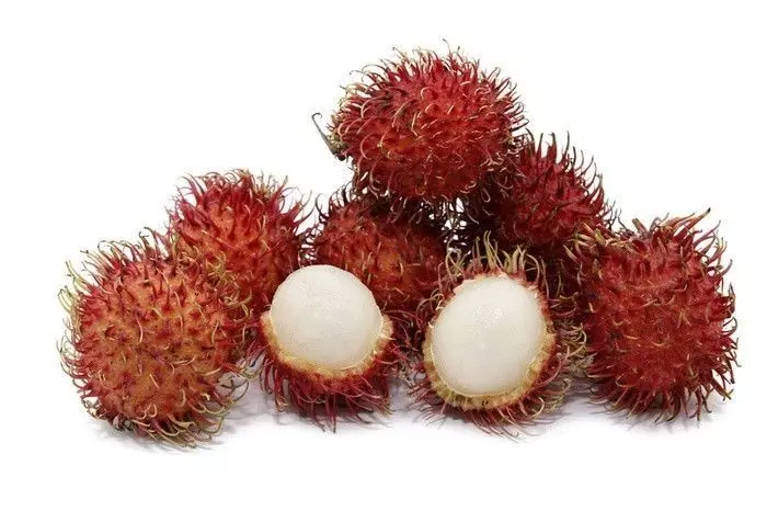 കര്ഷകരുടെ മഴക്കാല വിളയായി റമ്പൂട്ടാന് കര്ഷകരുടെ മഴക്കാല വിളയായി റമ്പൂട്ടാന്