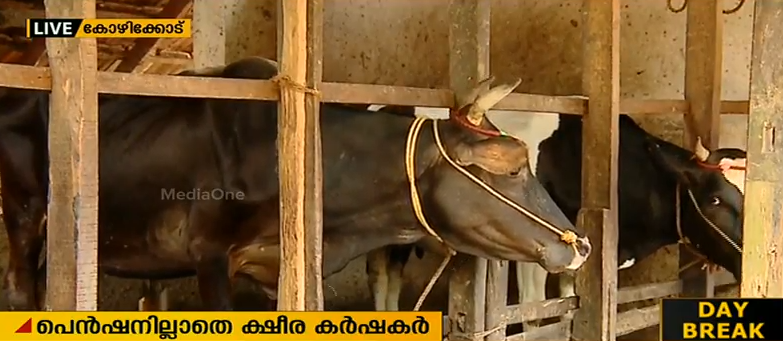 ഒരാള്‍ക്ക് ഒരു ക്ഷേമപെന്‍ഷന്‍ എന്ന നയം ക്ഷീര കര്‍ഷകര്‍ക്ക് തിരിച്ചടിയാകുന്നു