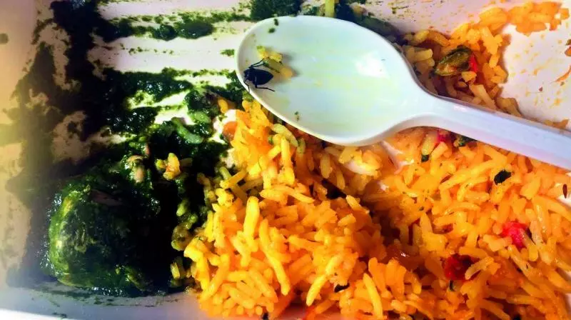 ജെറ്റ് എയര്‍വേസില്‍ വിളമ്പിയ ബിരിയാണിയില്‍ പ്രാണി