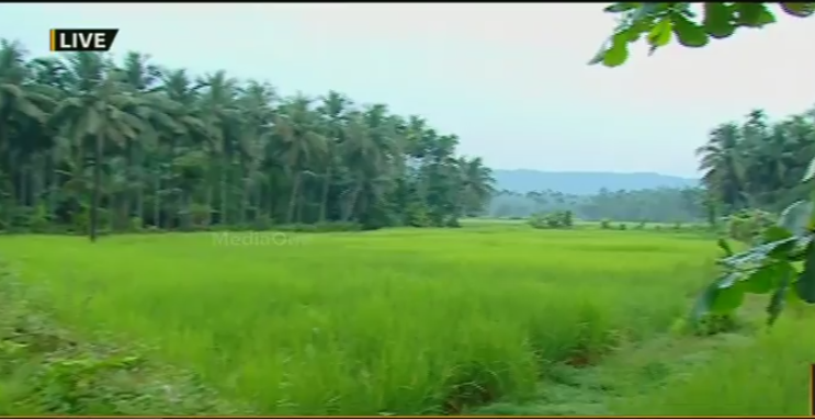 ഗെയില്‍ പദ്ധതി; വയലും തണ്ണീര്‍ത്തടങ്ങളും നികത്താന്‍ നീക്കം