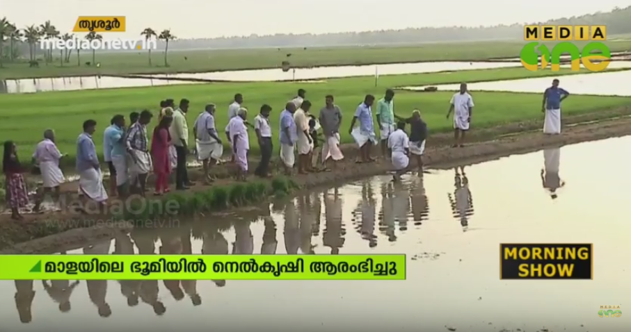 സന്തോഷ് മാധവനില്‍ നിന്ന് സര്‍ക്കാര്‍ ഏറ്റെടുത്ത ഭൂമിയില്‍ നെല്‍കൃഷി ആരംഭിച്ചു