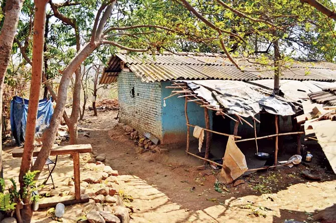 വേനല്ക്കാല അസുഖങ്ങളില് മതിയായ ചികിത്സ ലഭിക്കാതെ ആദിവാസി കുടുംബങ്ങള് വേനല്ക്കാല അസുഖങ്ങളില് മതിയായ ചികിത്സ ലഭിക്കാതെ ആദിവാസി കുടുംബങ്ങള്