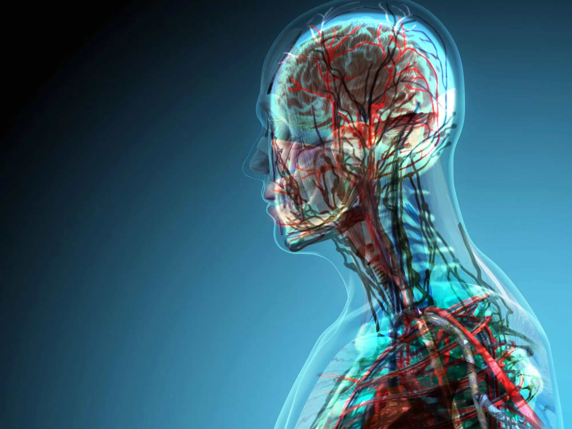 മനുഷ്യശരീരത്തിലെ ഏറ്റവും വലിയ അവയവം കണ്ടെത്തി മനുഷ്യശരീരത്തിലെ ഏറ്റവും വലിയ അവയവം കണ്ടെത്തി