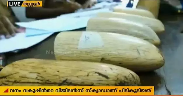 ആനക്കോട്ടയില് നിന്ന് ആനക്കൊമ്പ് കടത്തുന്നതിനിടെ മൂന്ന് പാപ്പാന്മാര് പിടിയില് ആനക്കോട്ടയില് നിന്ന് ആനക്കൊമ്പ് കടത്തുന്നതിനിടെ മൂന്ന് പാപ്പാന്മാര് പിടിയില്