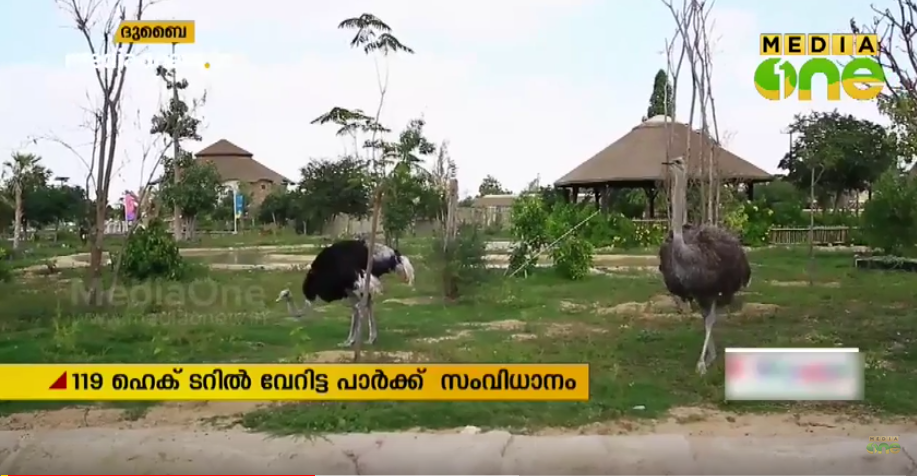 ദുബൈ സഫാരിയിൽ വ്യാഴാഴ്ച മുതൽ പ്രവേശ ഫീസ് ഈടാക്കും