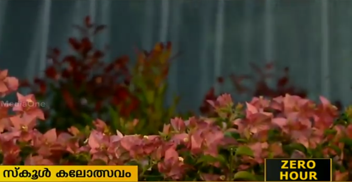 നീര്‍മാതളത്തിന് മുന്നില്‍ പൂക്കളുടെ പൂരം