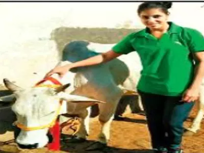 പാലില്ല, കുത്ത് കൊള്ളാന്‍ വയ്യ; ഹരിയാന സര്‍ക്കാര്‍ സമ്മാനിച്ച പശുക്കളെ വനിതാ ബോക്സര്‍മാര്‍ തിരിച്ചുനല്‍കി