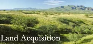 വന്കിട ഭൂമികയ്യേറ്റങ്ങള് ഒഴിപ്പിക്കാനുള്ള ബില് കടലാസിലുറങ്ങുന്നു വന്കിട ഭൂമികയ്യേറ്റങ്ങള് ഒഴിപ്പിക്കാനുള്ള ബില് കടലാസിലുറങ്ങുന്നു