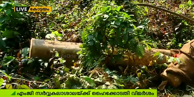 വനംവകുപ്പിന്റെ അനുമതിയില്ലാതെ മരംമുറിക്കരുത്: എംജി സര്‍വകലാശാലയോട് കോടതി