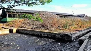 ജനവാസമേഖലയില് മലിനജലം പുറന്തള്ളുന്നു; ജനജീവിതം ദുസ്സഹം ജനവാസമേഖലയില് മലിനജലം പുറന്തള്ളുന്നു; ജനജീവിതം ദുസ്സഹം