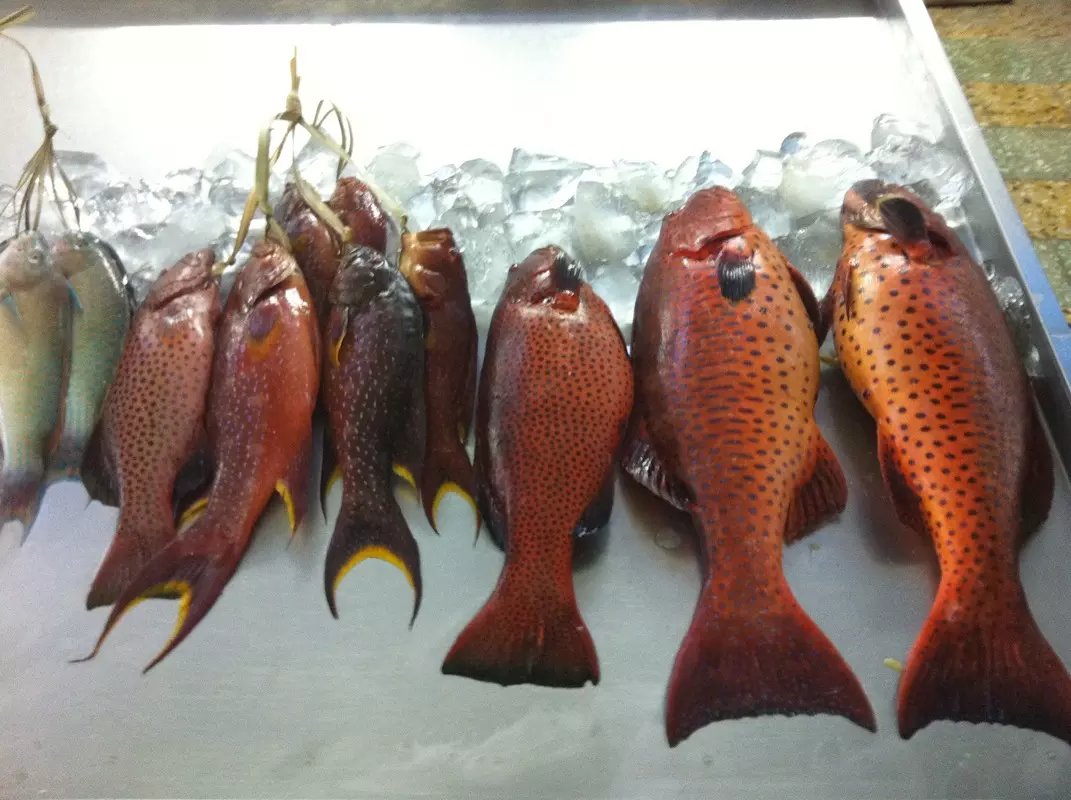 സൌദി മത്സ്യവിപണിയില് വന്ക്ഷാമം സൌദി മത്സ്യവിപണിയില് വന്ക്ഷാമം