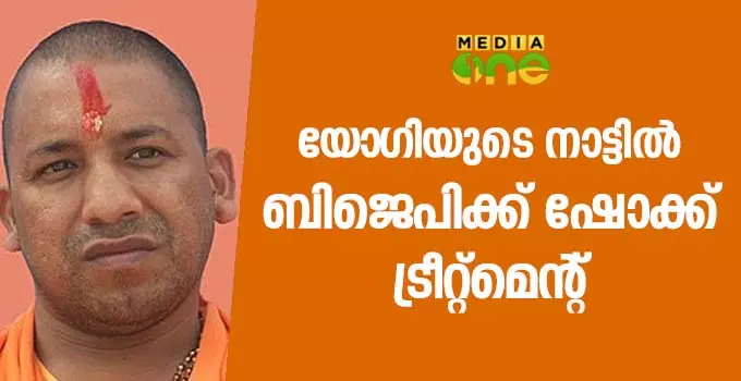 യുപിയില് ബിജെപിക്ക് വന്തിരിച്ചടി; രണ്ട് സിറ്റിങ് സീറ്റുകളിലും തോറ്റു യുപിയില് ബിജെപിക്ക് വന്തിരിച്ചടി; രണ്ട് സിറ്റിങ് സീറ്റുകളിലും തോറ്റു