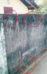 വീടുകളിലെ കറുത്ത സ്റ്റിക്കര്; വ്യാജപ്രചാരണത്തിനെതിരെ പ്രതിഷേധം വീടുകളിലെ കറുത്ത സ്റ്റിക്കര്; വ്യാജപ്രചാരണത്തിനെതിരെ പ്രതിഷേധം