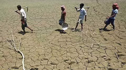 ഇന്ത്യയില്‍ കഴിഞ്ഞ വര്‍ഷം ആത്മഹത്യ ചെയ്തത് എണ്ണായിരത്തിലധികം കര്‍ഷകര്‍