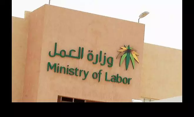 തൊഴില്‍ വകുപ്പിന്റെ നേതൃത്വത്തില്‍ സൗദി കിഴക്കന്‍ പ്രവിശ്യയുടെ വിവിധ ഭാഗങ്ങളില്‍ വ്യാപക പരിശോധന